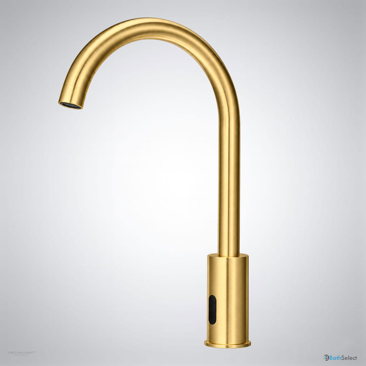 BathSelect BS510BG product