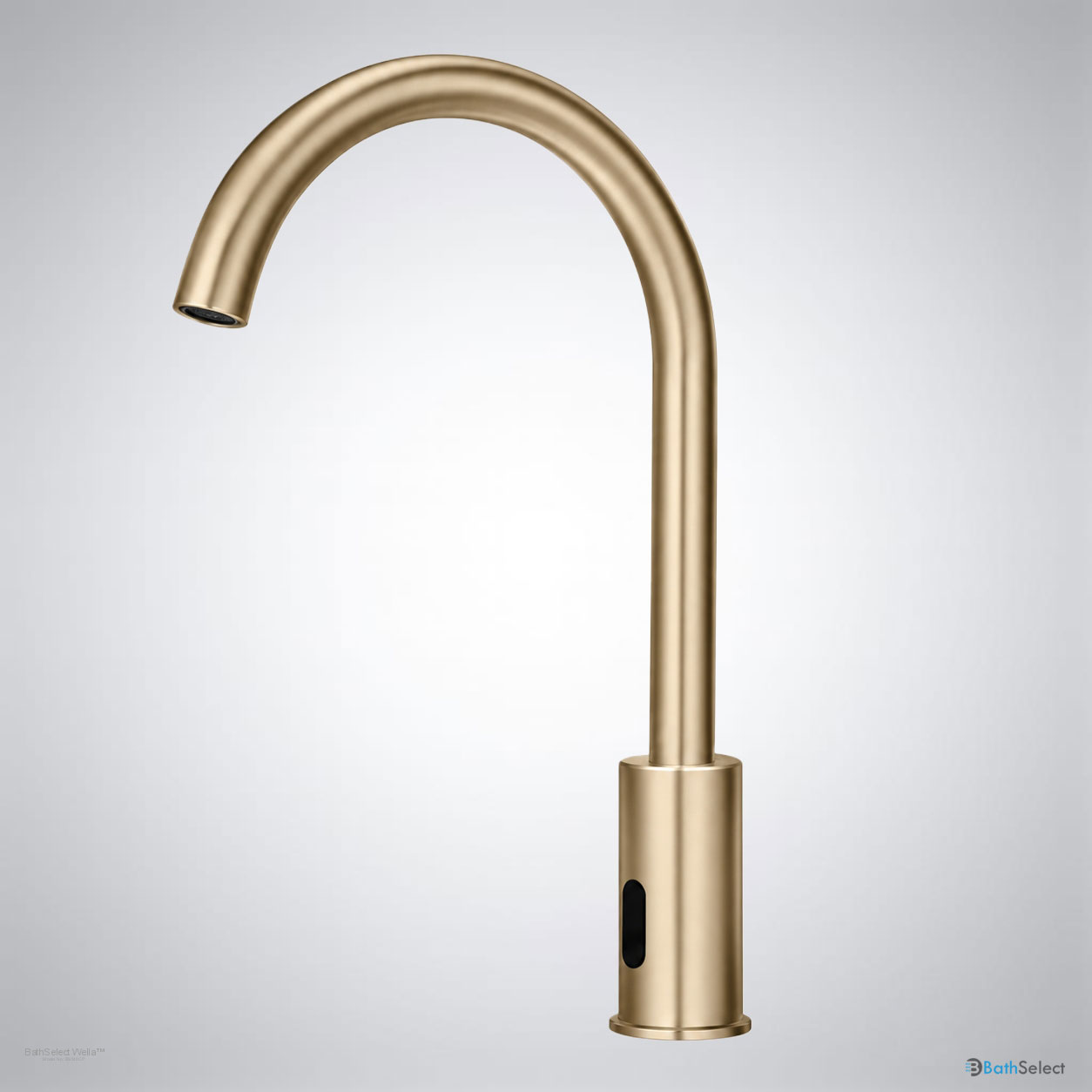 BathSelect BS510CP product
