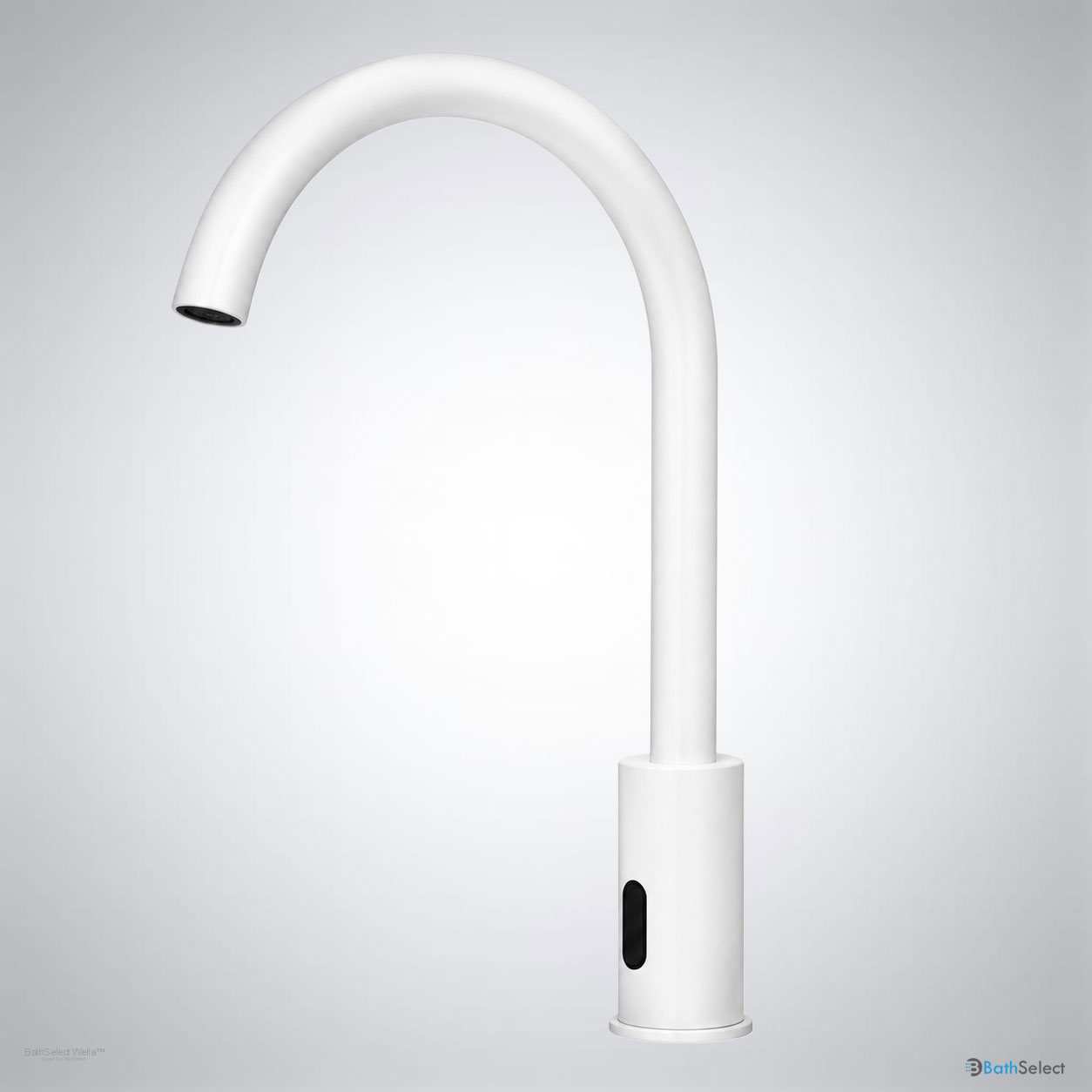 BathSelect BS510MW product