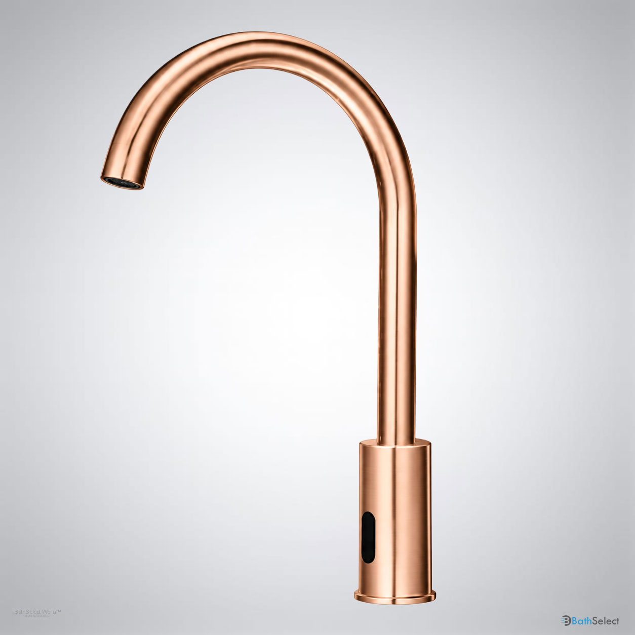 BathSelect BS510RG product