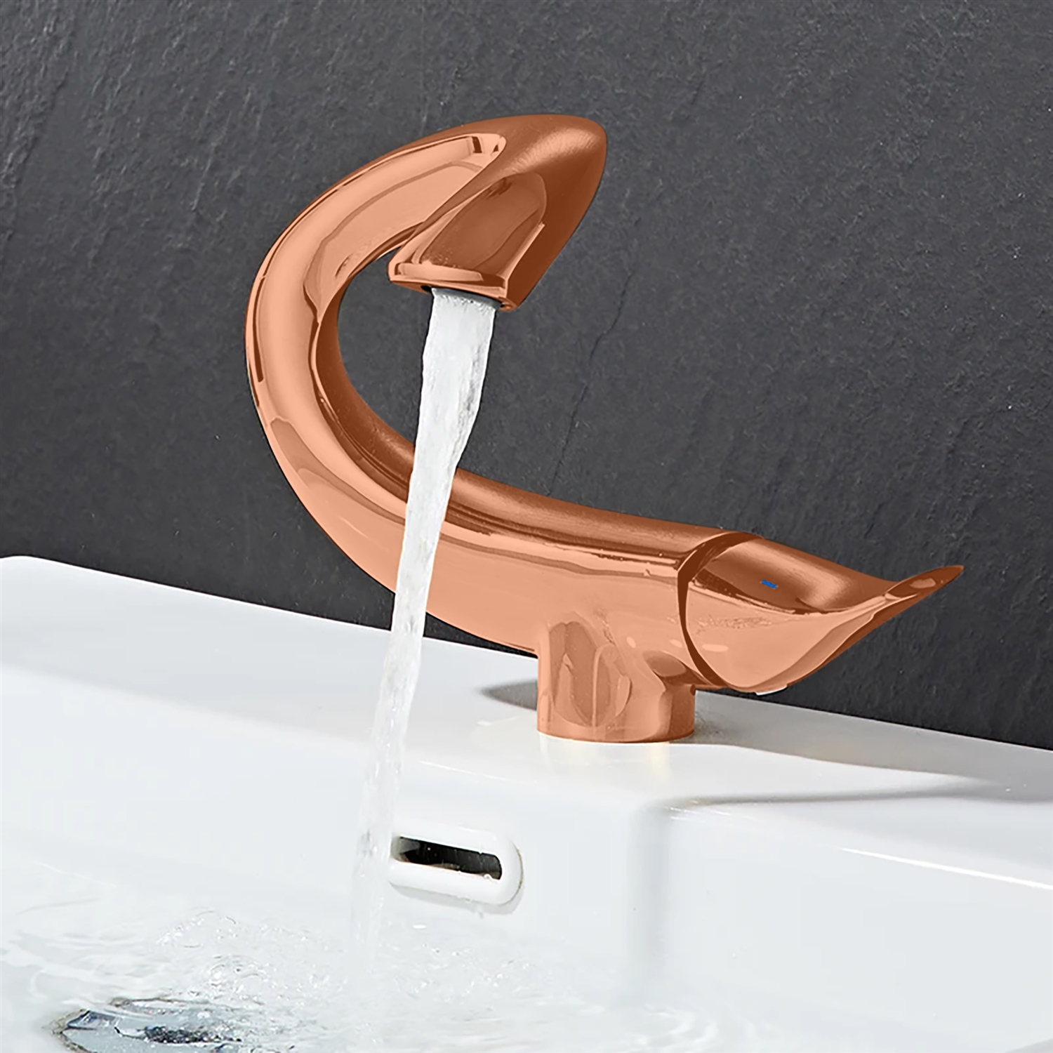 BathSelect BS7757RG product