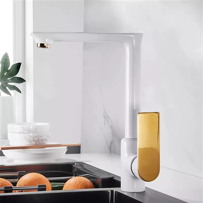BathSelect BS7769WG product