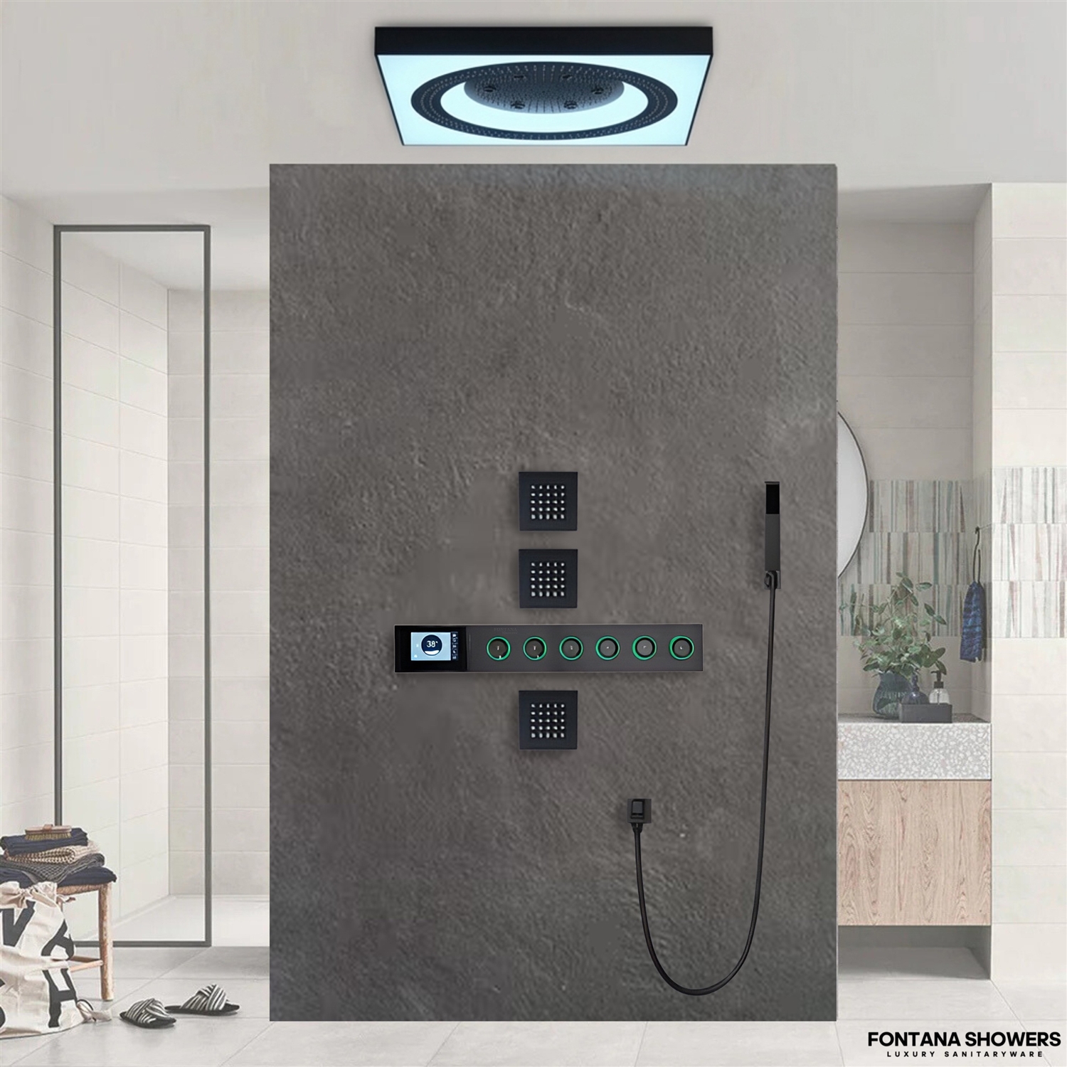 hand shower and accessible control coordination