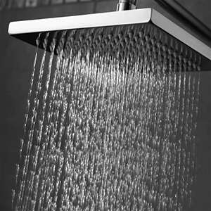 Vitashower