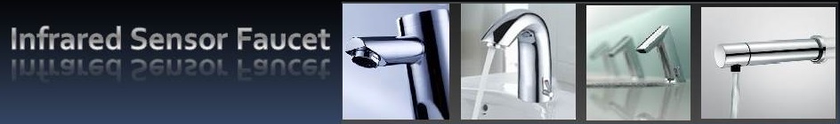 Lenox Commercial Dual Automatic Sensor Faucet with Sensor Soap Dispenser