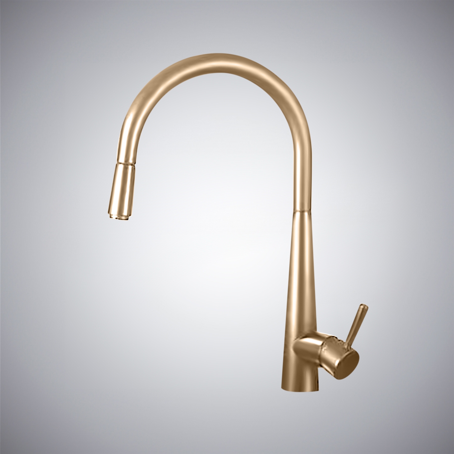 BS10305CP product image