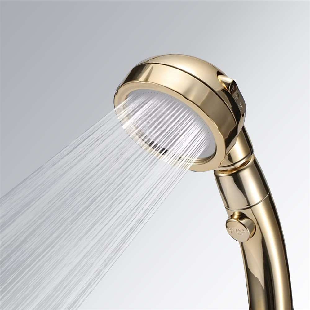 360 Degrees Water Saving High Pressure Oxygenics Rotating Adjustable Shower Head in Gold (BS10430)