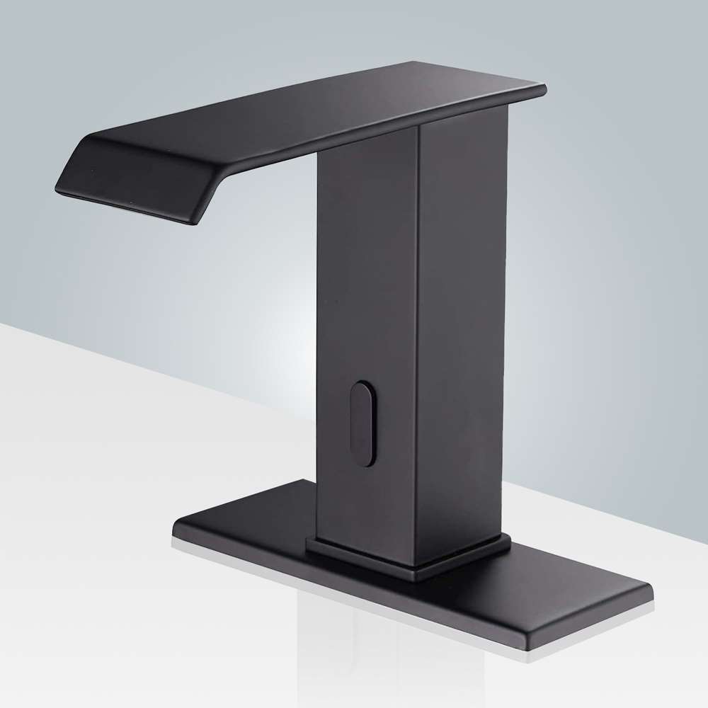 BS145176 product image
