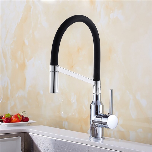 Alalia Chrome Finish Single Kitchen Faucet with Pullout Spout (BS581SPH)