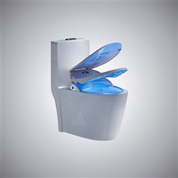 BathSelect Intelligent Toilet Seat With Temperature Display And Remote Control In Pure White Finish