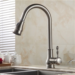 Brushed nickel pull-down faucet for contemporary family kitchen planning