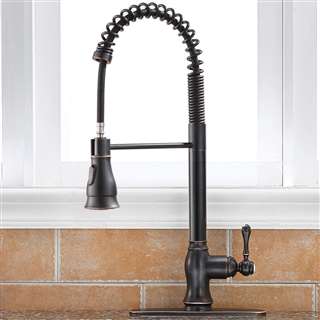 Turin Kitchen Faucet Single Handle With Faucet Coverage Plate Bronze, Brushed, Chrome